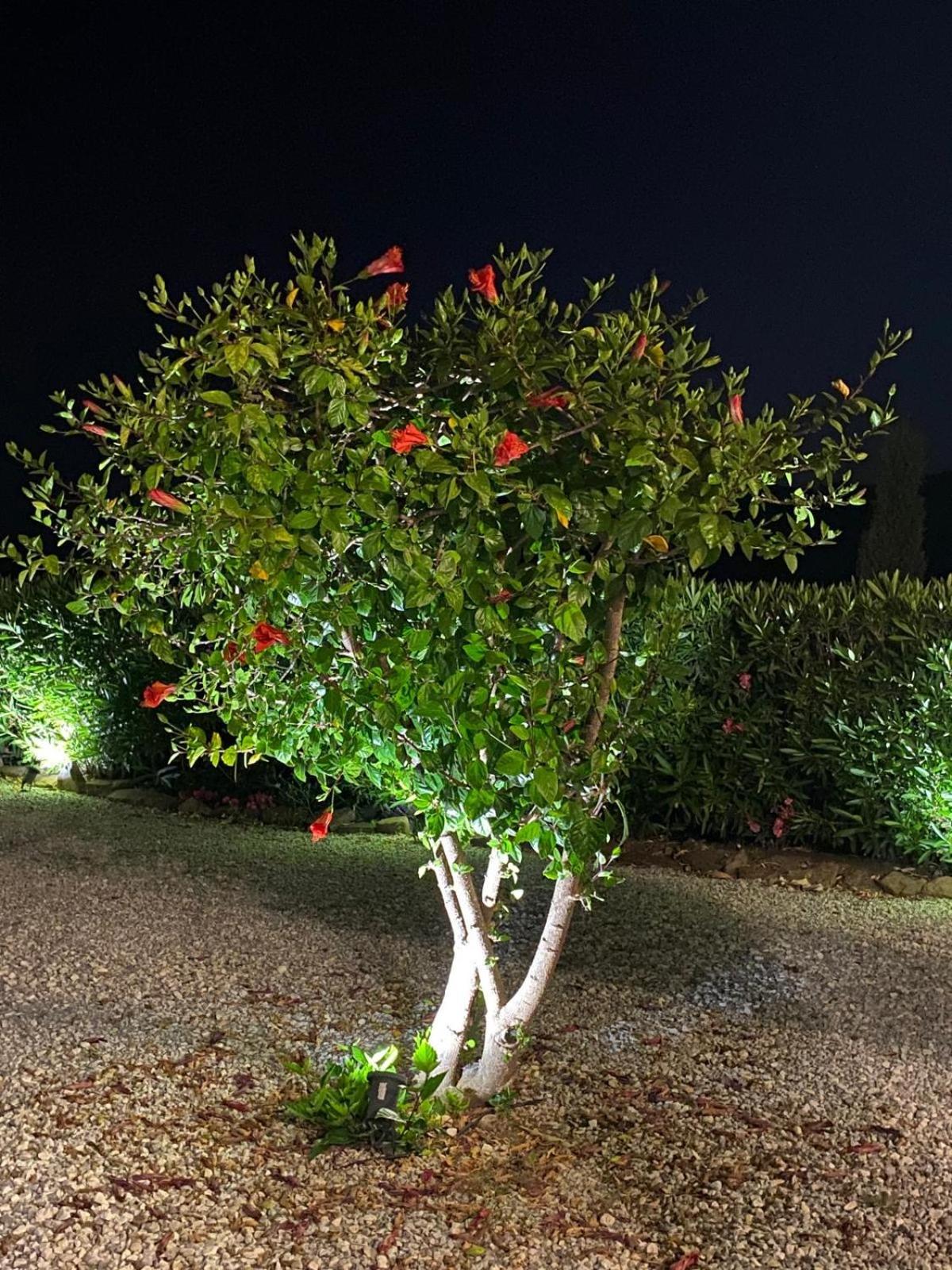 Finca Angelita Torrox Exterior photo