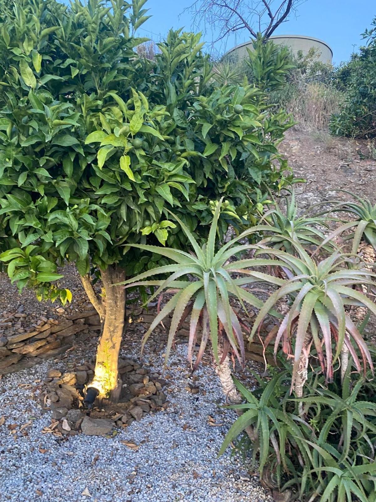 Finca Angelita Torrox Exterior photo